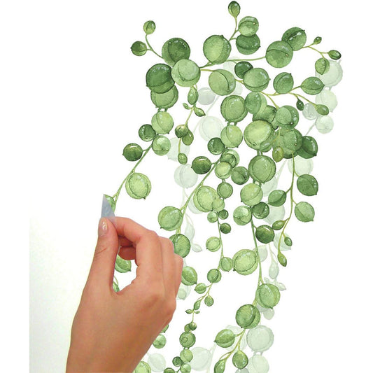 String of Pearls Succulent Vine Peel and Stick Wall Decals - 9x36.5 Inches
