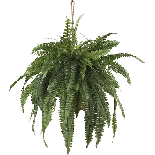 Realistic Boston Fern Hanging Basket Large - Green